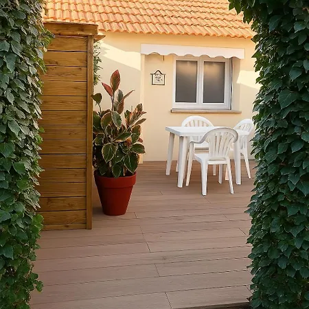 Reve D'azur De La Nartelle, Mazet 35m2, Parking, Piscine Partagee, Terrasse Bbq & Draps Inclus サント・マキシム